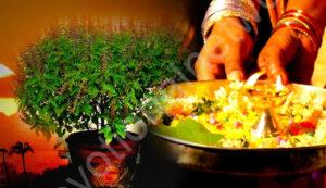 Read more about the article तुलसी की पूजा करते समय कर लें ये 1छोटा सा काम, आपके ऊपर होगी मां लक्ष्मी मेहरबान