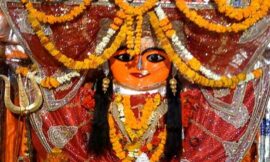 शाकुम्भरी माता की आरती – Aarti of shakumbhari mata