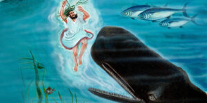 Read more about the article जोना और मछली की कहानी – Jonah and the fish story