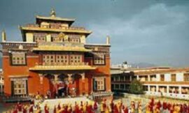 शेचेन मठ का इतिहास – History of shechen monastery