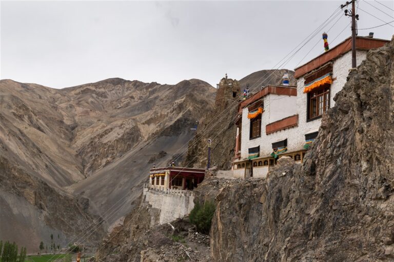 Read more about the article वानला मठ का इतिहास – History of wanla monastery