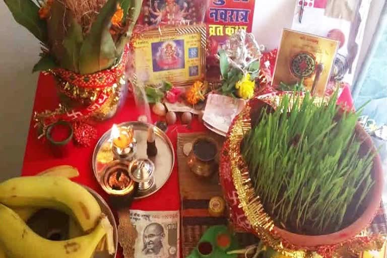 राशि के अनुसार कैसे करें नवरात्रि की पूजा, जानिए कुछ खास उपाय - How to worship navratri according to zodiac sign, know some special remedies