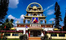 नामद्रोलिंग निंगमापा मठ का इतिहास – History of namdroling nyingmapa monastery