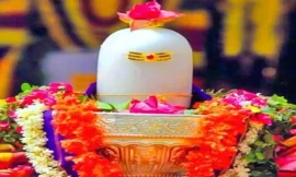 जानिए महाशिवरात्रि की पूजा के दौरान शिवलिंग पर क्या चढ़ाना चाहिए। Know what should be offered to shivalinga during the worship of mahashivratri