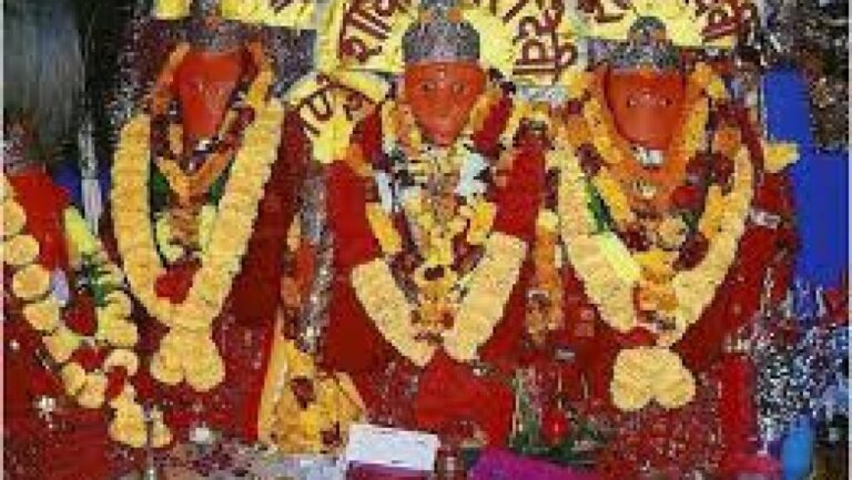 Read more about the article श्री शाकुम्भरी देवी जी की आरती – Shri shakumbhari devi ji ki aarti