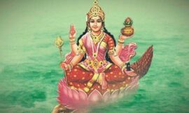 नर्मदा माता जी की आरती – Narmada mata ji ki aarti