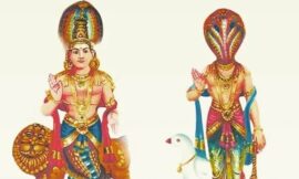 जानिए राहु केतु के जन्म का मोहिनी एकादशी से क्या संबंध है। Know what is the relation between the birth of rahu ketu and mohini ekadashi