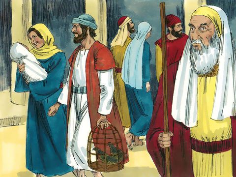 Read more about the article यीशु को देखने वाले शिमोन और अन्ना की कहानी – The story of simeon and anna seeing jesus