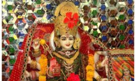 जानिए नवरात्रि के 9 दिन माता रानी को कौन सा फूल अर्पित करना चाहिए। Know which flowers should be offered to mata rani on the 9 days of navratri